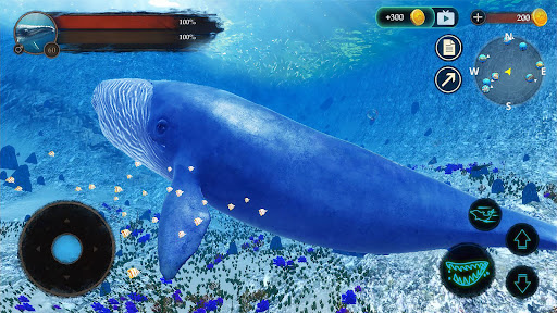 The Blue Whale电脑版