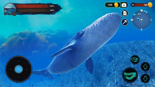 The Blue Whale电脑版