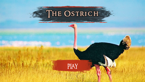 The Ostrich PC