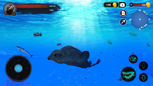 The Sea Lion PC