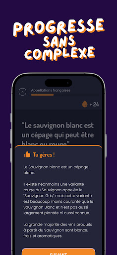 Quiz Culture Vin - Winology PC