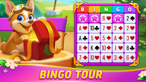 Gin Rummy Frenzy - Card Game PC