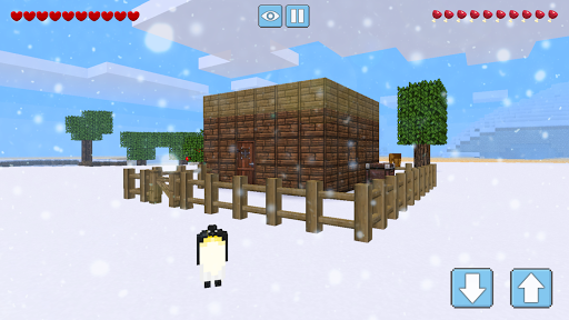 Winter Craft - Block Craft PC版