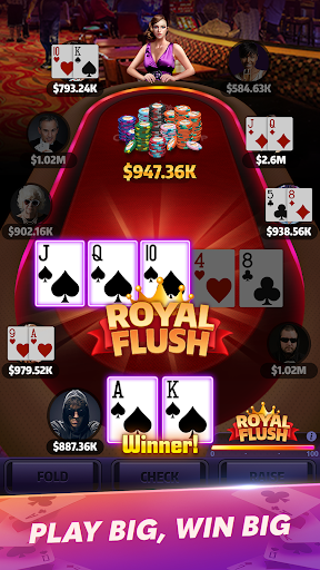 Mega Hit Poker: Texas Holdem پی سی