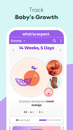 Pregnancy Tracker & Baby App PC