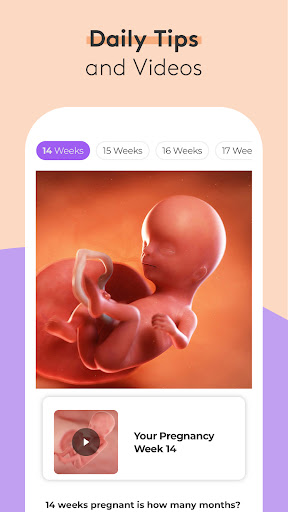 Pregnancy Tracker & Baby App PC