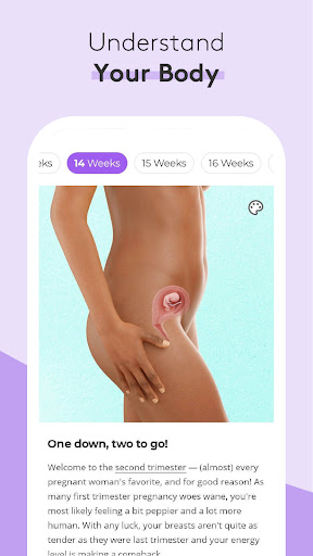 Pregnancy Tracker & Baby App PC