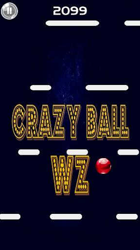 Crazy Ball WZ PC