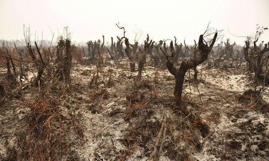 Xem tivi online  - Xem bóng đá trực tiếp PC