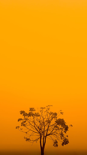 Xiaomi Redmi K60 Pro পিসি