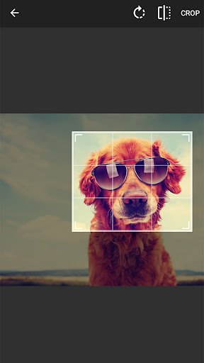 komputer Photo Resizer - Resize & Crop