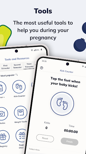 Pregnancy App & Baby Tracker পিসি
