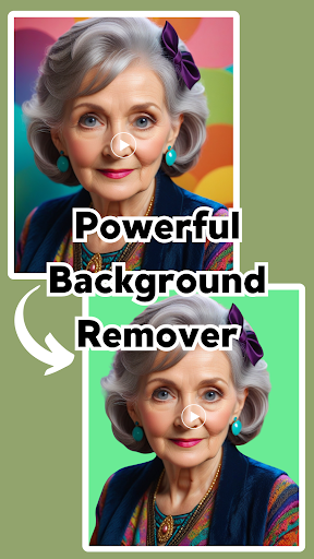 AI Video Background Remover PC