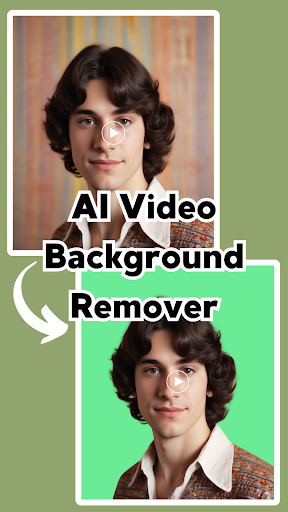 AI Video Background Remover PC