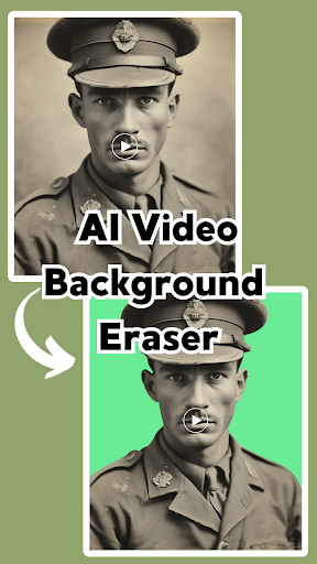 AI Video Background Remover PC