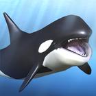 Orca and marine mammals PC