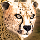 Ultimate Cheetah Simulator PC