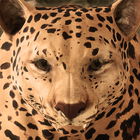 Ultimate Leopard Simulator PC