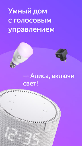 Дом с Алисой PC