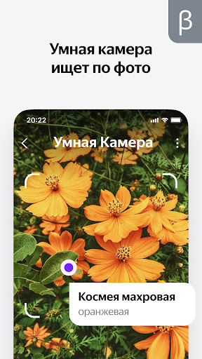 Яндекс — с Алисой (бета) PC
