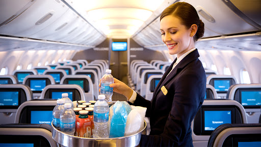 Cabin Crew Simulator: Fly Life PC