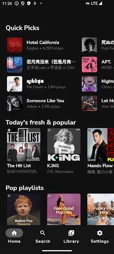 Music Tube Video Downloader PC