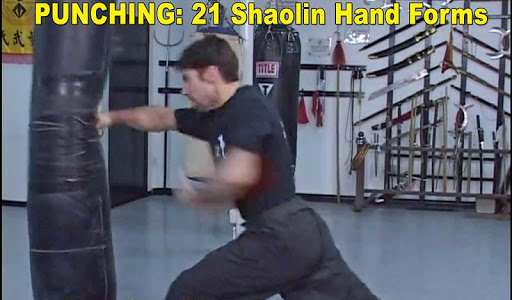 Shaolin Kung Fu PC