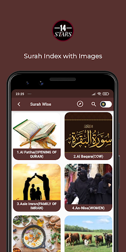 14 Stars پی سی