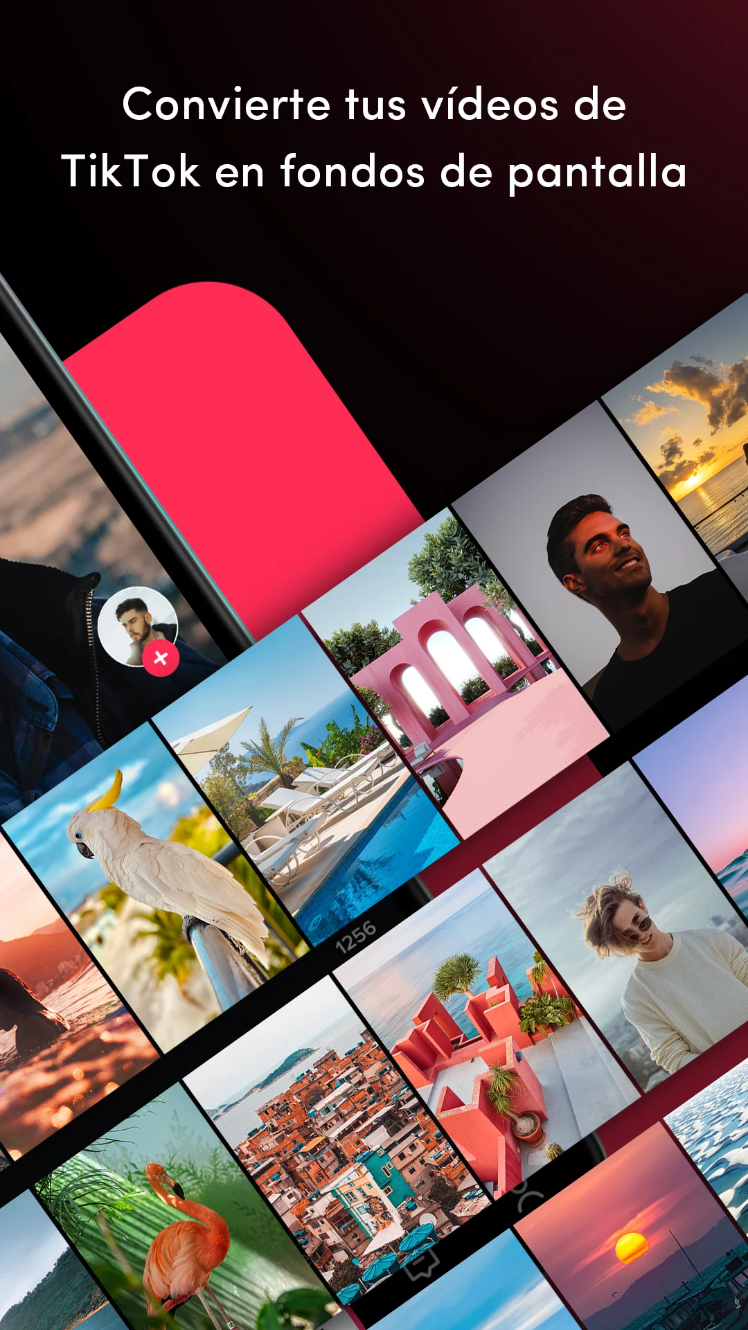 TikTok Wall Picture PC