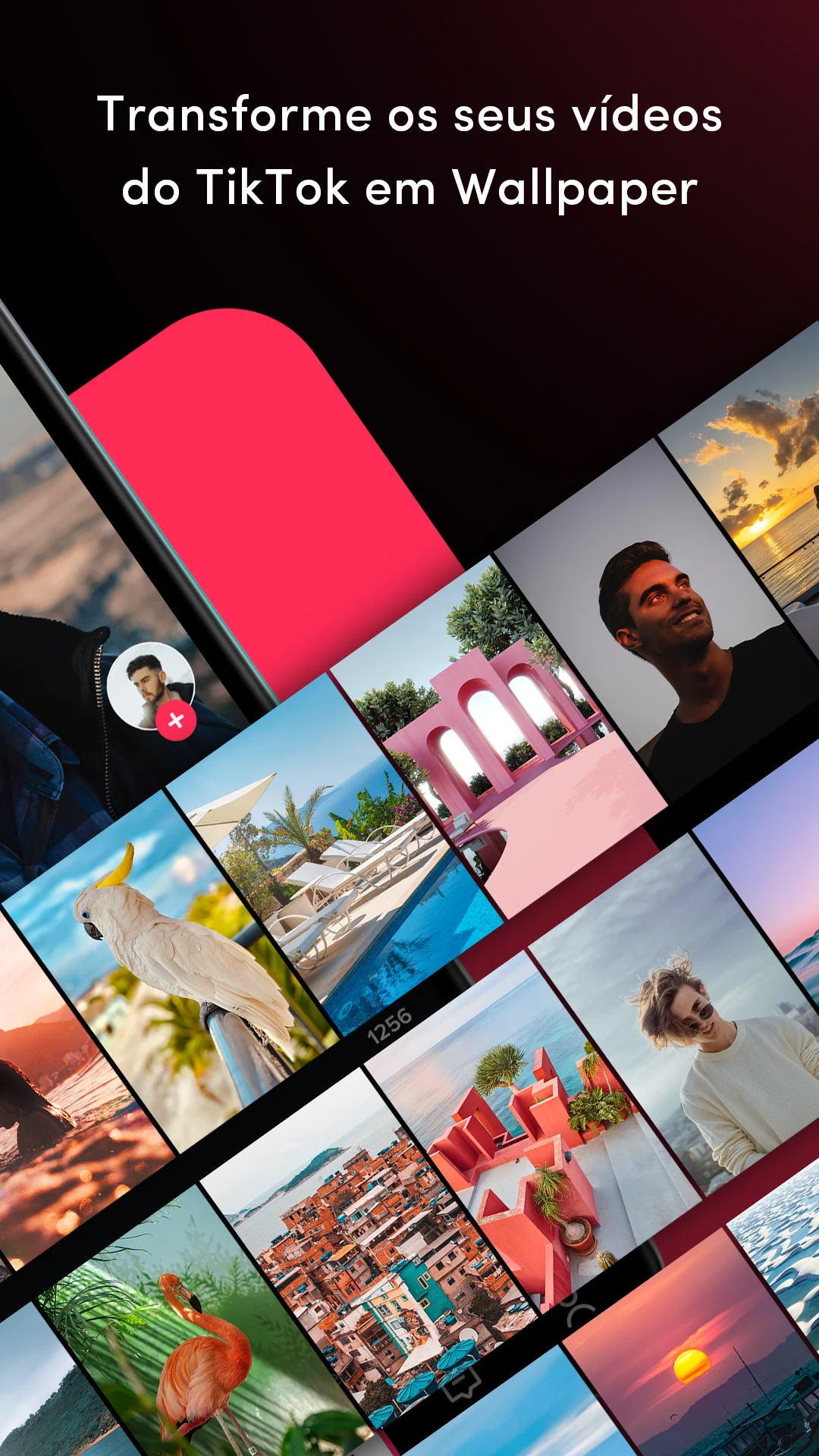 TikTok Wall Picture para PC