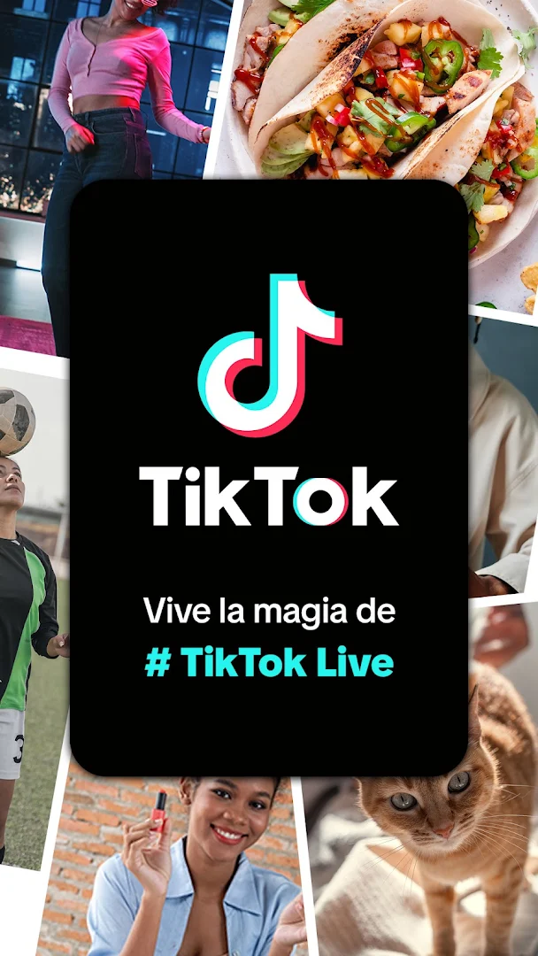 TikTok PC