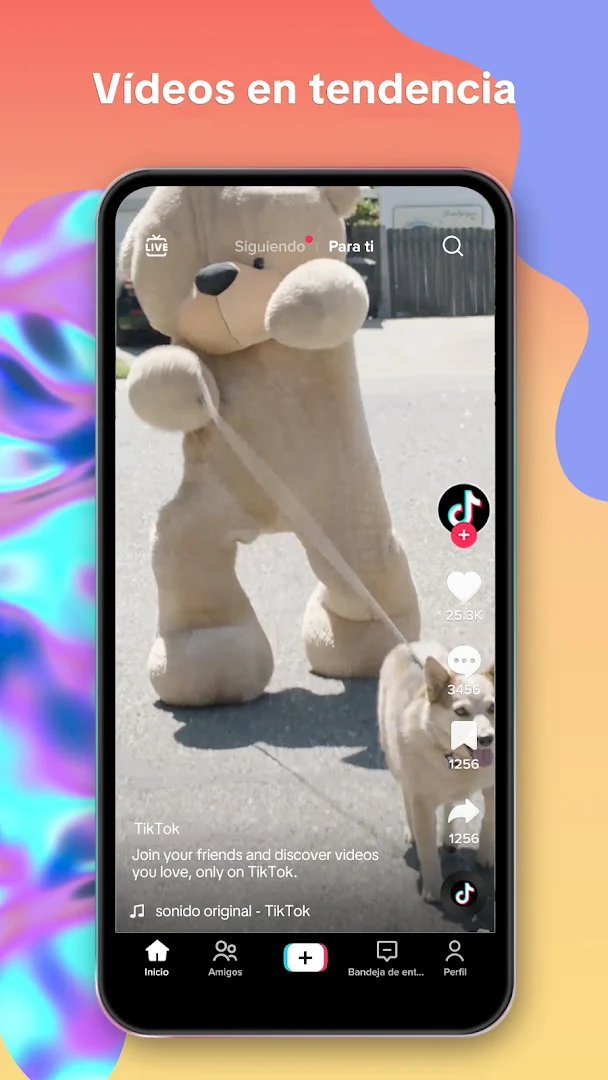 TikTok PC