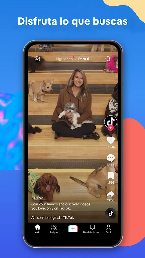 TikTok PC