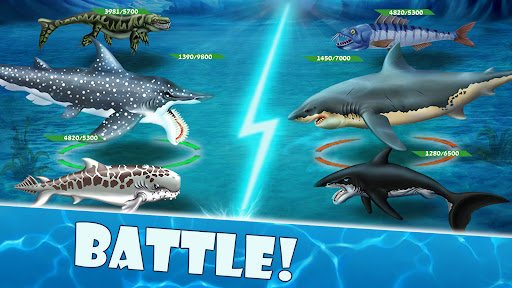 Shark Mania