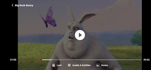 ZoZo Player - URL Video Player