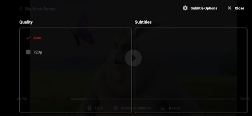 ZoZo Player - URL Video Player