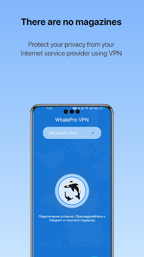 VPN-Whale VPN PC