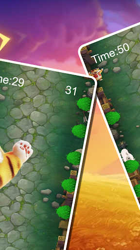 Wild Tiger Rush para PC