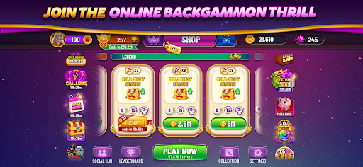 Backgammon Plus - Board Game PC