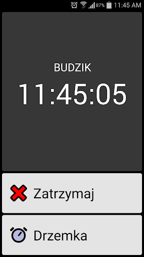 BIG Alarm