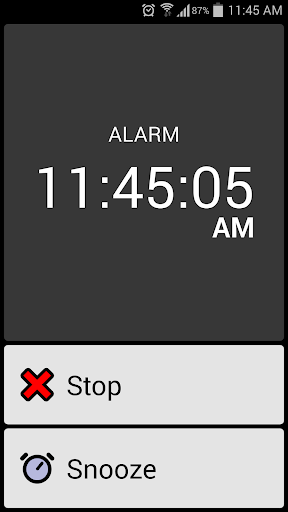 BIG Alarm