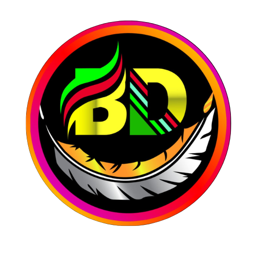 BD NET VPN PC