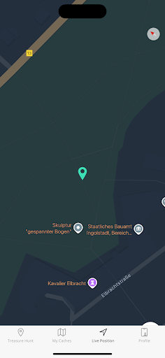 Geocaching Radar Treasure Hunt PC