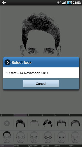 FlashFace Premium police tool PC