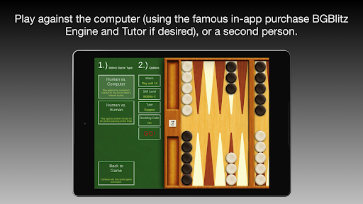 True Backgammon PC