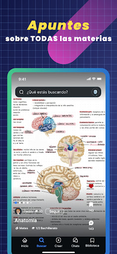 Knowunity - Tu App educativa PC