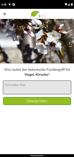 Botanica PC