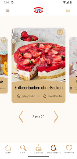 Dr. Oetker Rezeptideen PC