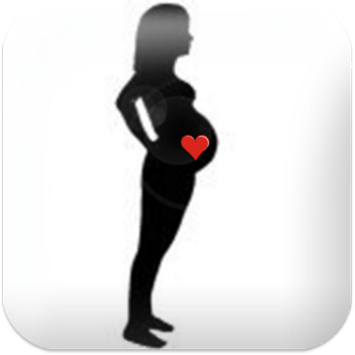 Pregnancy watcher widget PC