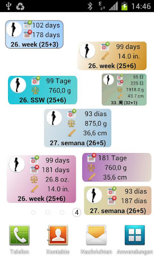 Pregnancy watcher widget PC